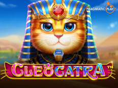 Cool cat casino mobile. Tulipbet mobil uygulama.90